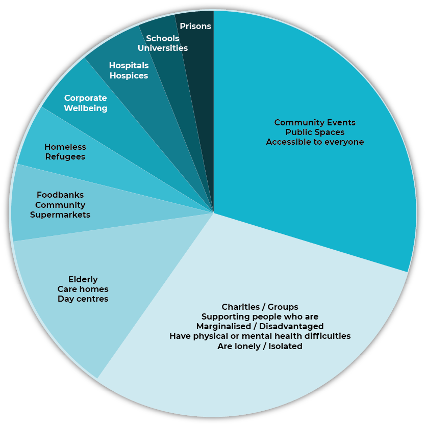 Pie chart showing volunteer impact